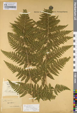 LE 01109701