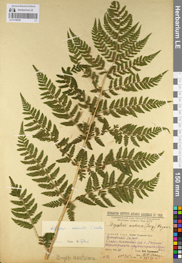 LE 01109706
