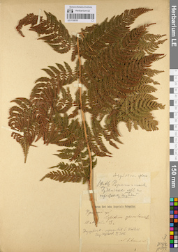 LE 01109707