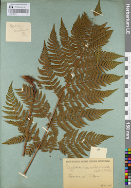 LE 01109711