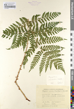 LE 01109721