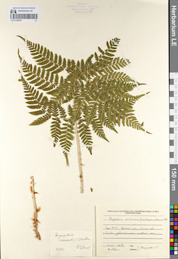 LE 01109723
