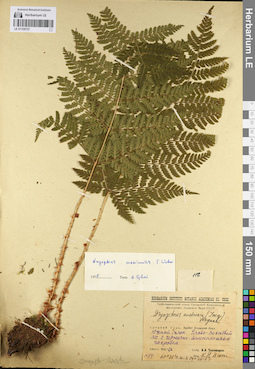 LE 01109727