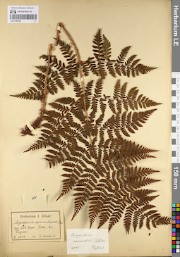 LE 01109728
