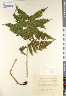 LE 01109729