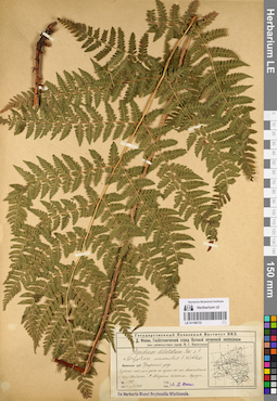 LE 01109733
