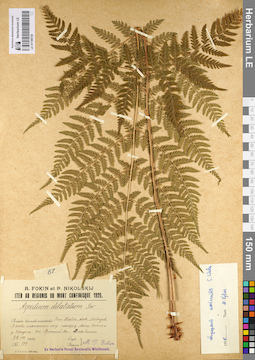 LE 01109736