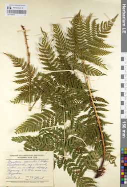LE 01109745