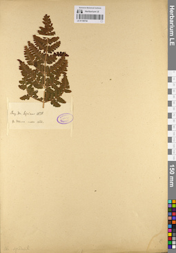 LE 01109754