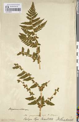 LE 01109761