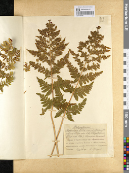 LE 01109769