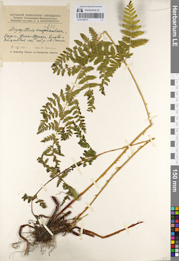 LE 01109773