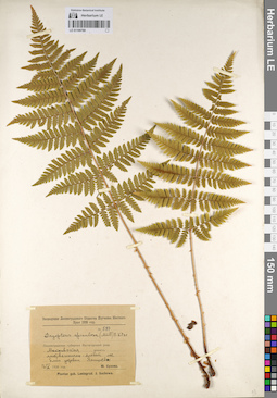 LE 01109780