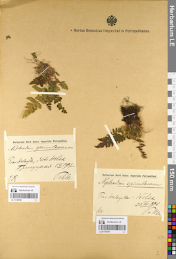 LE 01109788