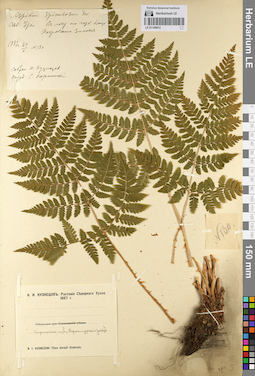 LE 01109812