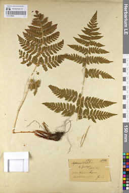 LE 01109820
