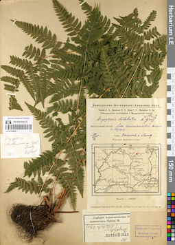 LE 01109834
