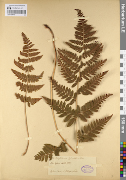 LE 01109845
