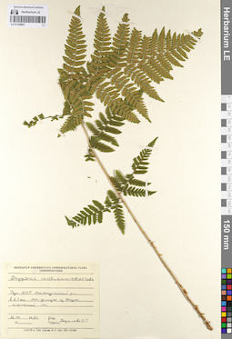 LE 01109867
