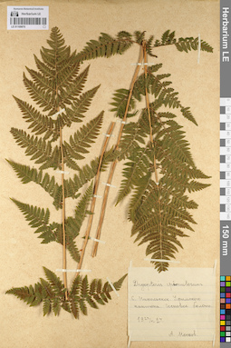 LE 01109870