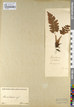 LE 01109937