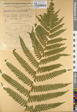 LE 01137308