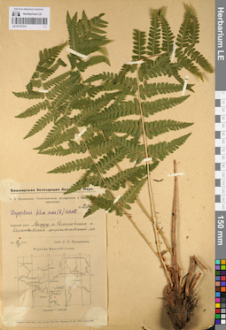 LE 01137312