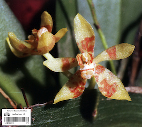 LE 01090913