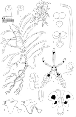 LE 01090920