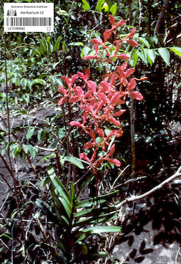 LE 01090942