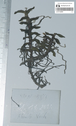 LE 01122005