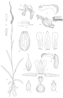 LE 01122055