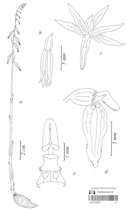 LE 01122077