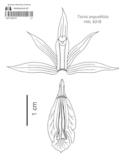 LE 01122116