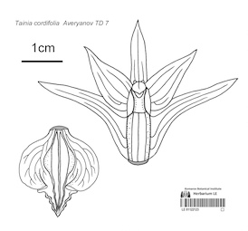 LE 01122123