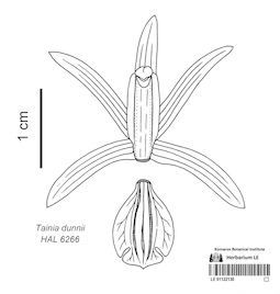 LE 01122130