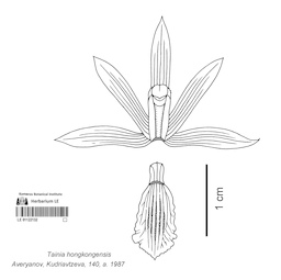 LE 01122132