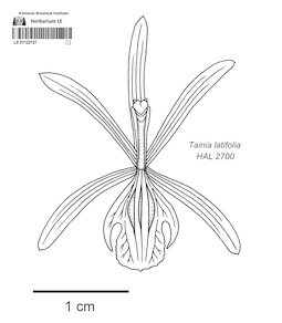 LE 01122137