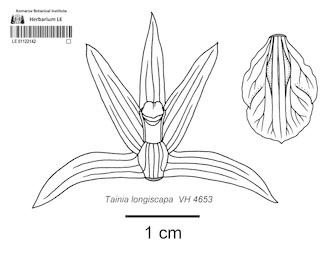 LE 01122142