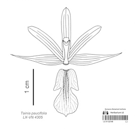 LE 01122146