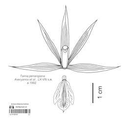 LE 01122147