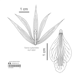 LE 01122150