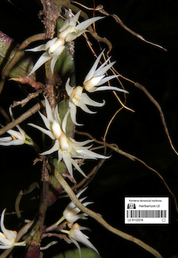 LE 01122216