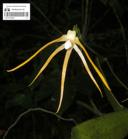 LE 01122230