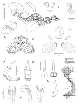 LE 01122260