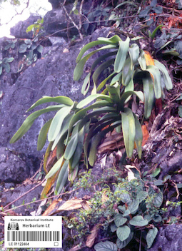 LE 01122404