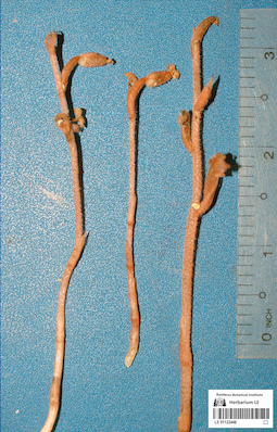 LE 01122448