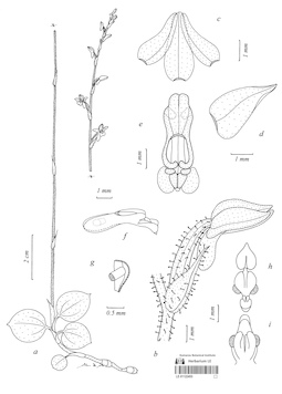 LE 01122453