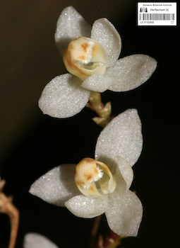 LE 01122459