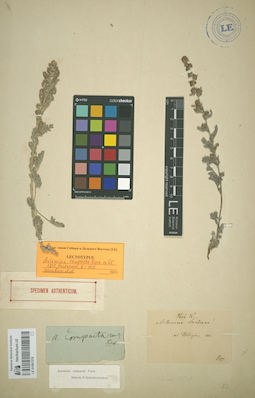 LE 01081378